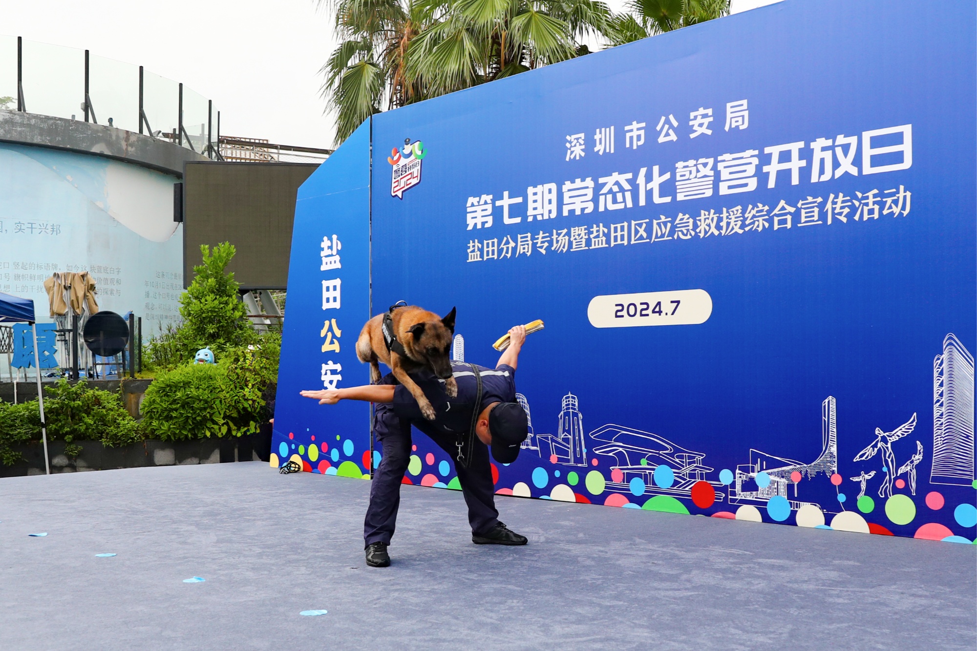 开云体育app-多伦多猛龙训练开放日；赛前强势反弹引欢呼；意大利杯在即；团队化学反应显著的简单介绍