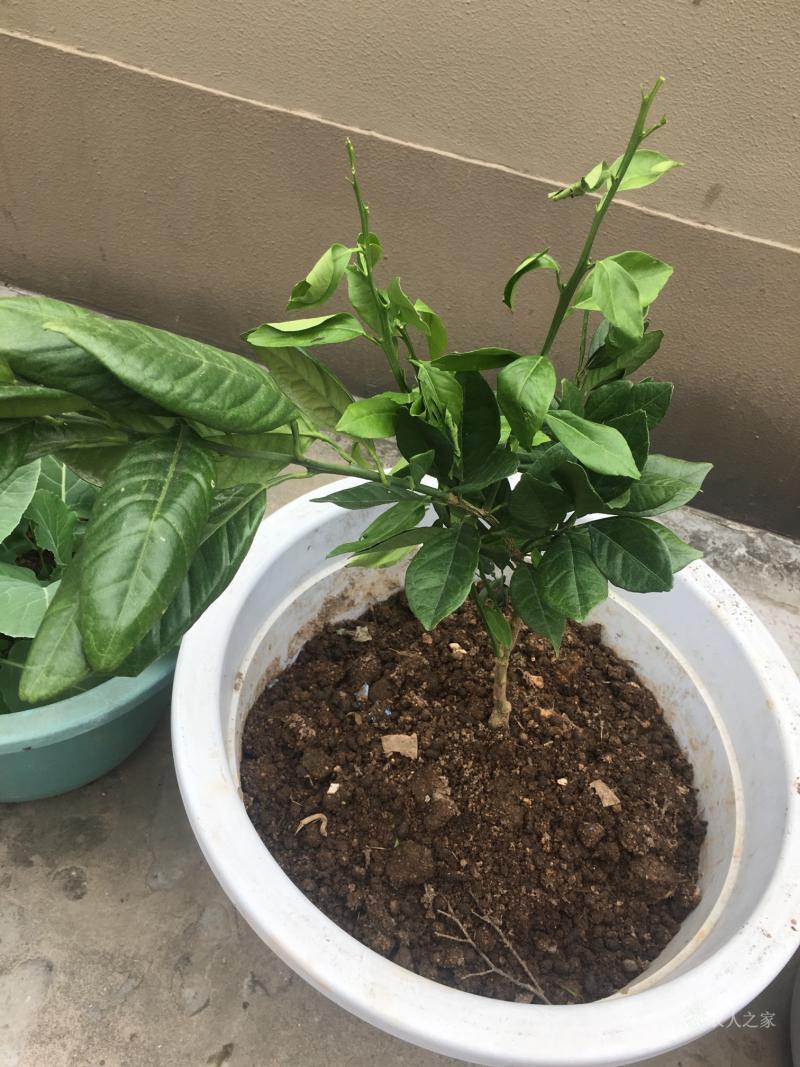 开云体育赛事-的简单介绍